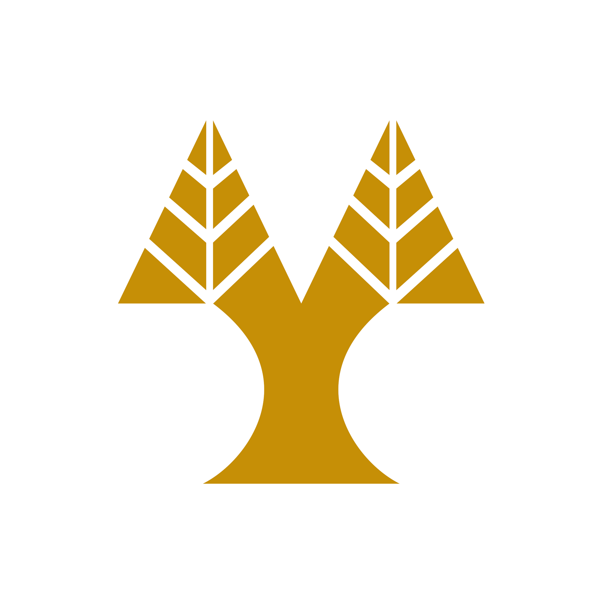 UCY Logo